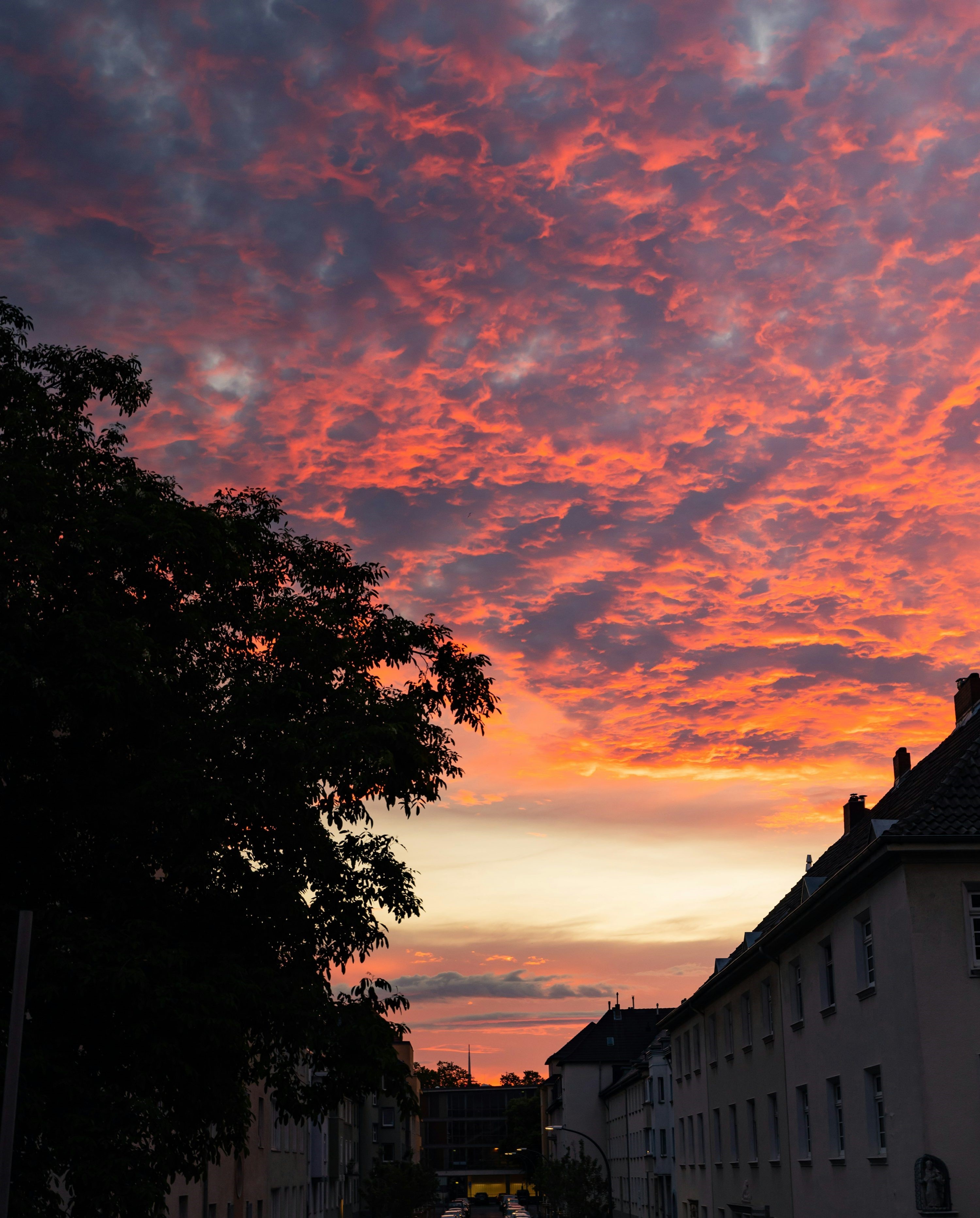 Un coucher de soleil flamboyant